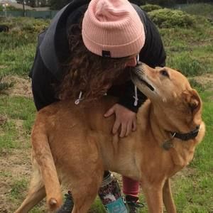 Meet your Posher, Alli